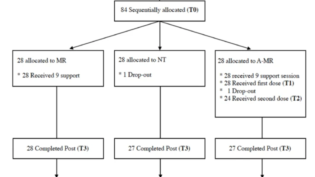 Diagrama de flujo que muestra la asignación y seguimiento de participantes en un estudio clínico.