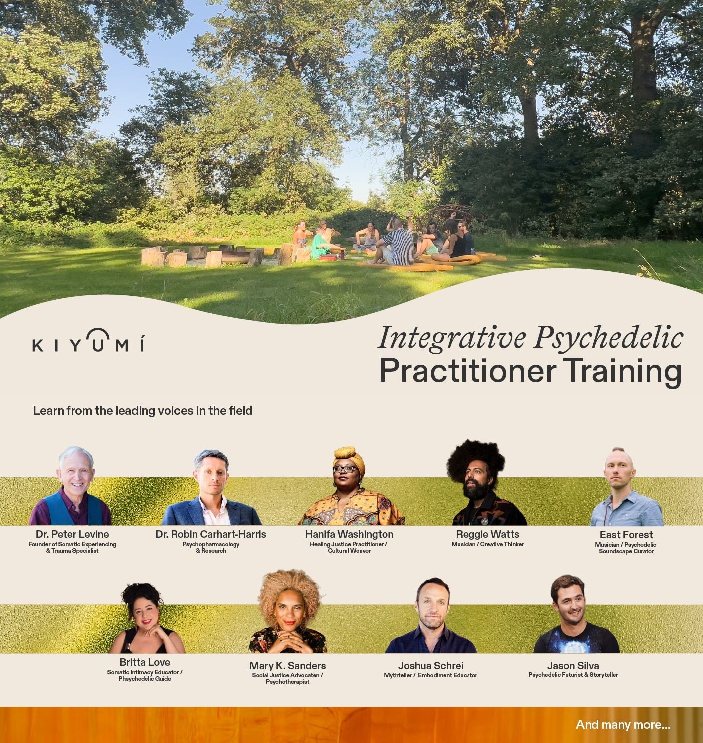 Collage of instructors for the Integrative Psychedelic Practitioner Training program, including Dr. Peter Levine, Dr. Robin Carhart-Harris, Hanifa Washington, and others.